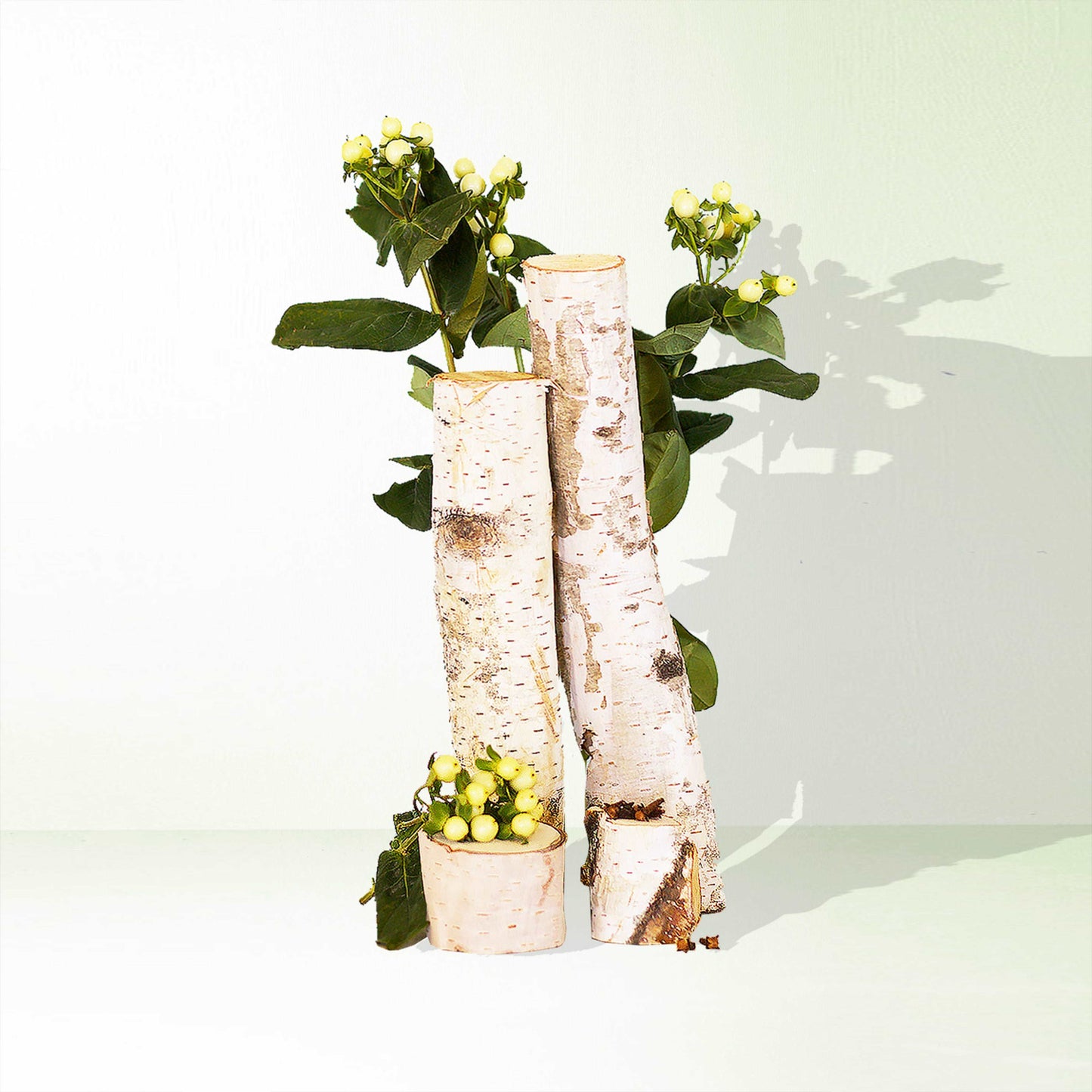 Bayberry + Birch Room / Linen Spray