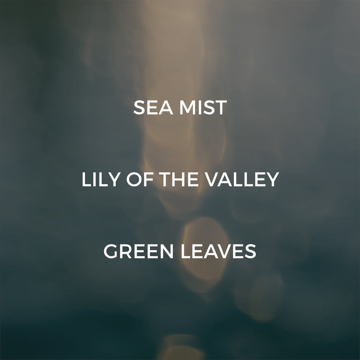 Text overlay on a blurred background with 'Sea Mist', 'Lily of the Valley', and 'Green Leaves' listed.