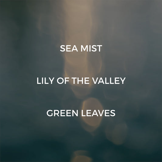 Crushed Salt + Mist Room / Linen Spray