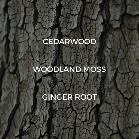 Dried Cedar + Moss Reed Diffuser