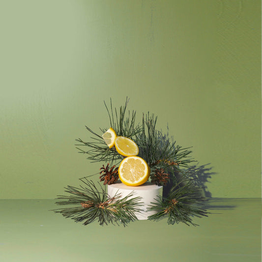 Fir Needle Hand + Body Wash