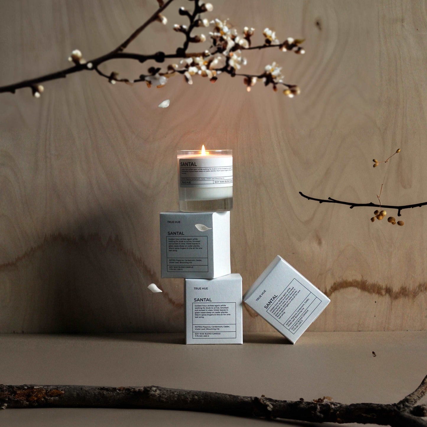 Santal Candle