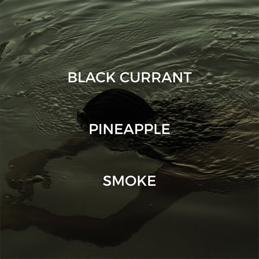 Skinny Dipping Reed Diffuser