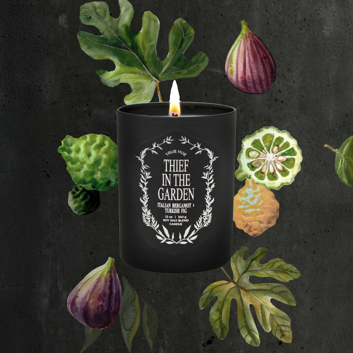 Thief In The Garden Candle on black background with watercolor bergamots, figs and leaves next to the candle.