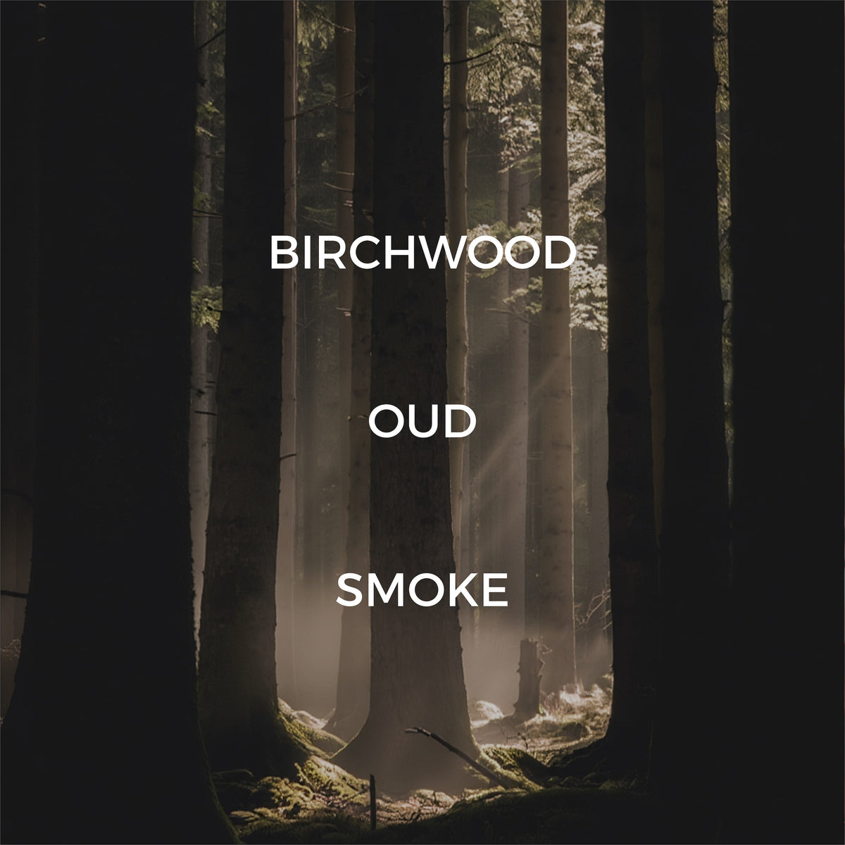 a forest scene with white text "birchwood" "oud" and "smoke" overlaid.