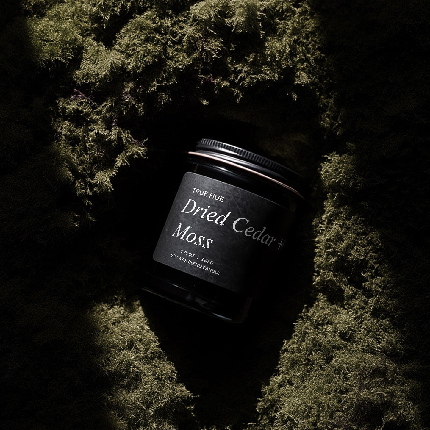 Dried Cedar + Moss Jar Candle
