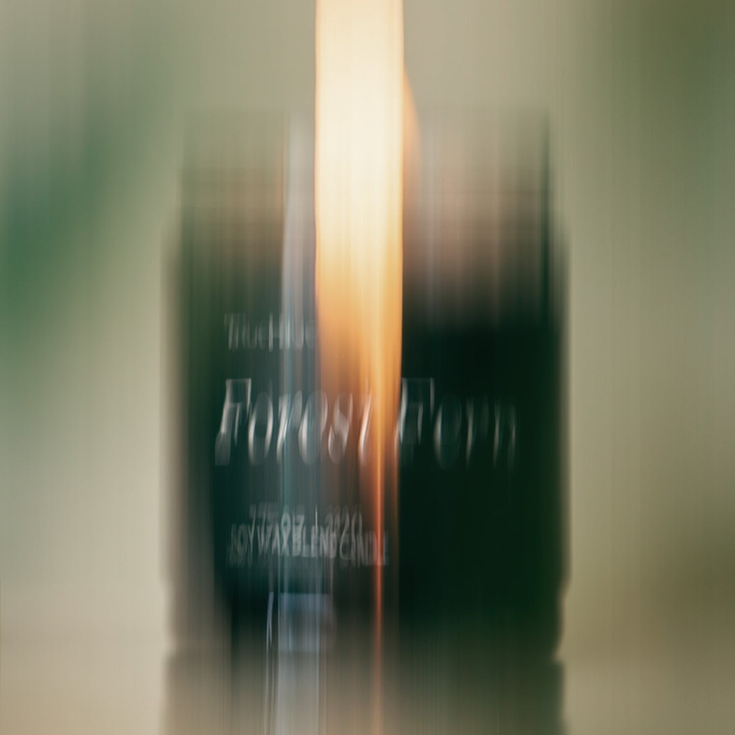 Forest Fern Jar Candle