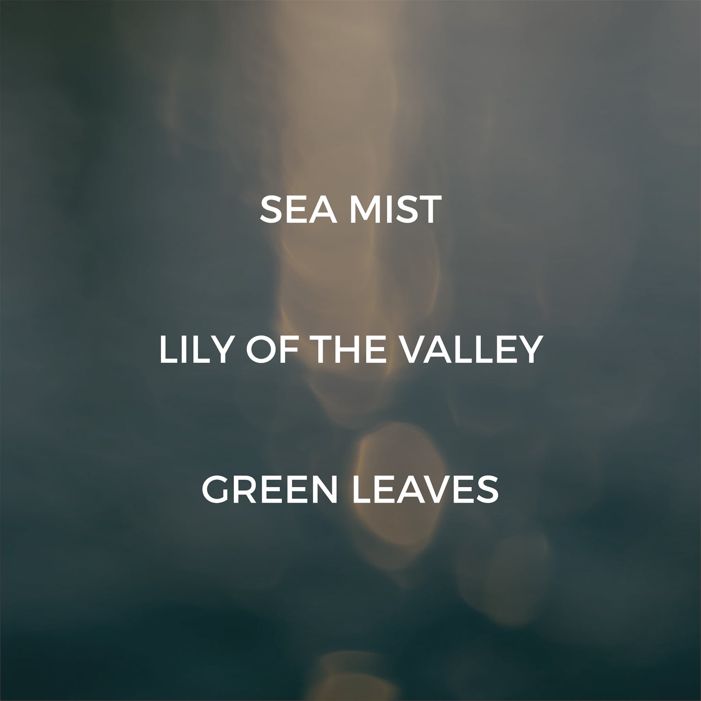 Crushed Salt + Mist Room / Linen Spray