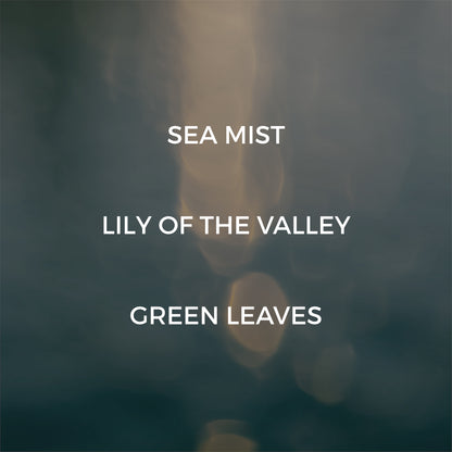 Crushed Salt + Mist Room / Linen Spray