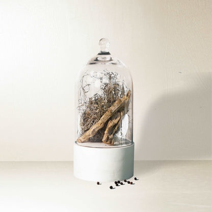 Dried Cedar + Moss Candle