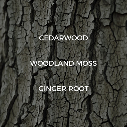 Dried Cedar + Moss Jar Candle