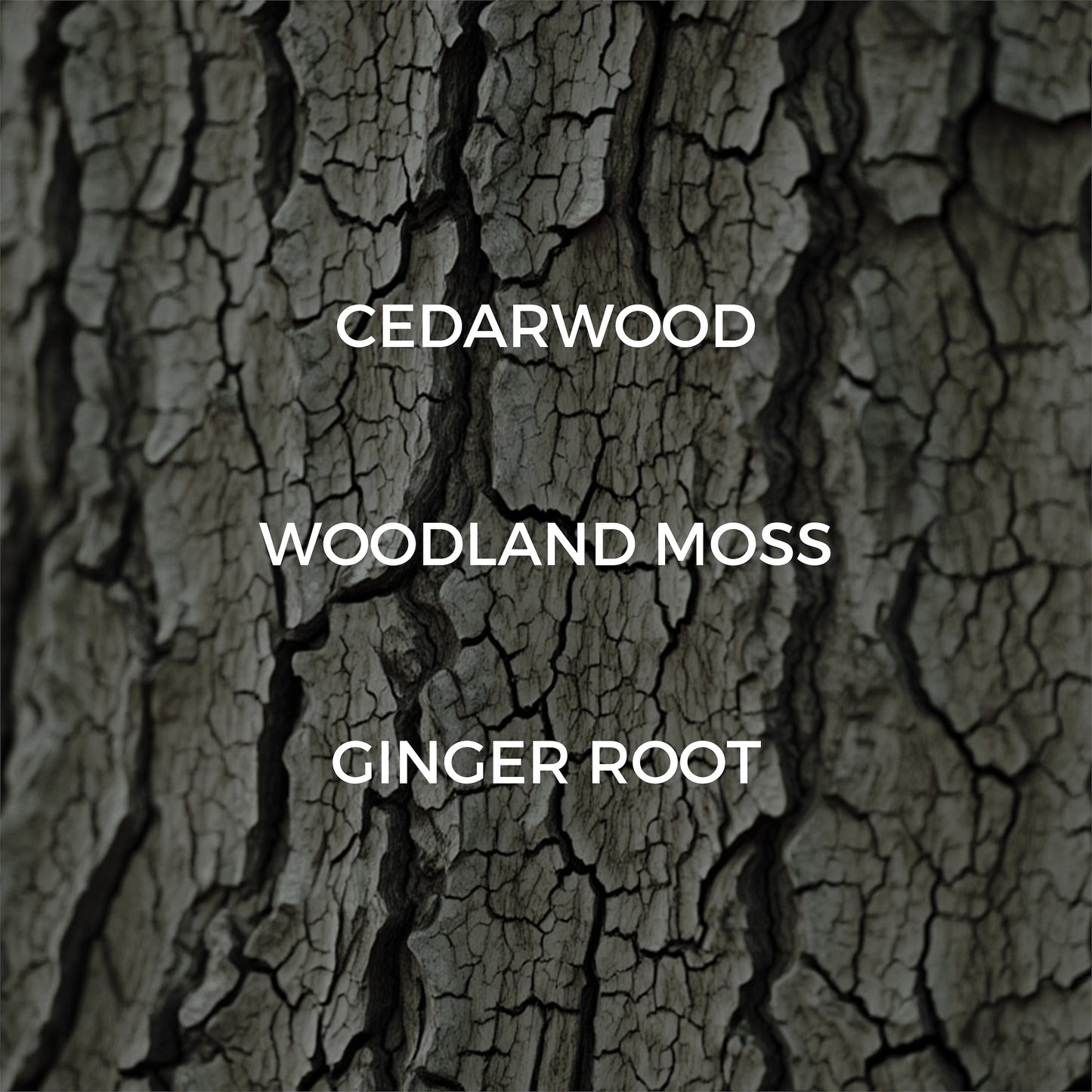 Dried Cedar + Moss Room / Linen Spray