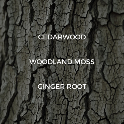 Dried Cedar + Moss Room / Linen Spray