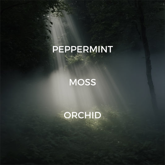 Forest Fern Jar Candle