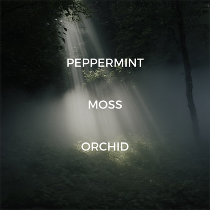 Forest Fern Room / Linen Spray