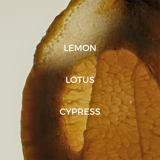 Letters To Stardust Reed Diffuser