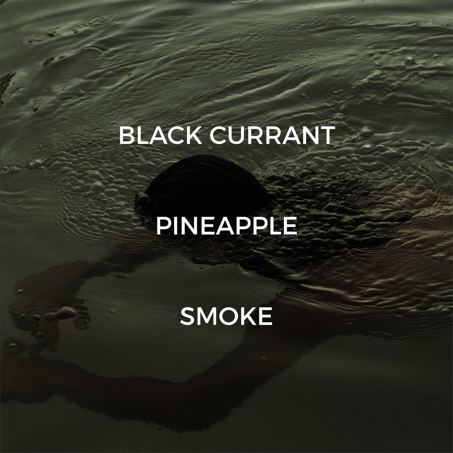 Skinny Dipping Reed Diffuser