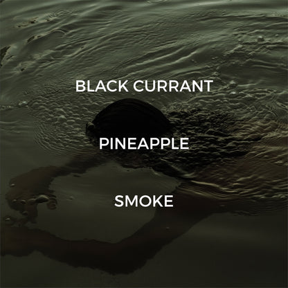 Skinny Dipping Room / Linen Spray