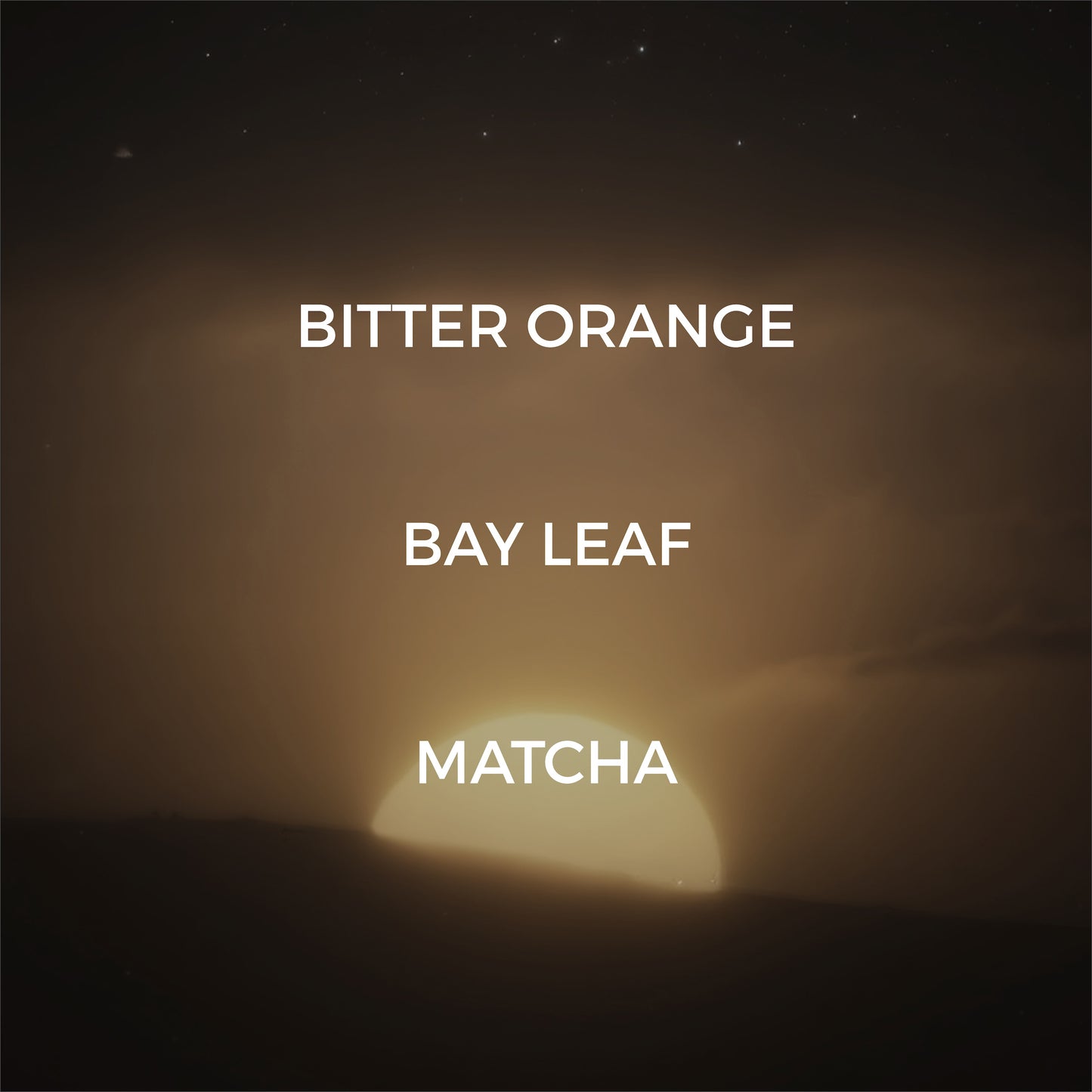 Twilight Reed Diffuser