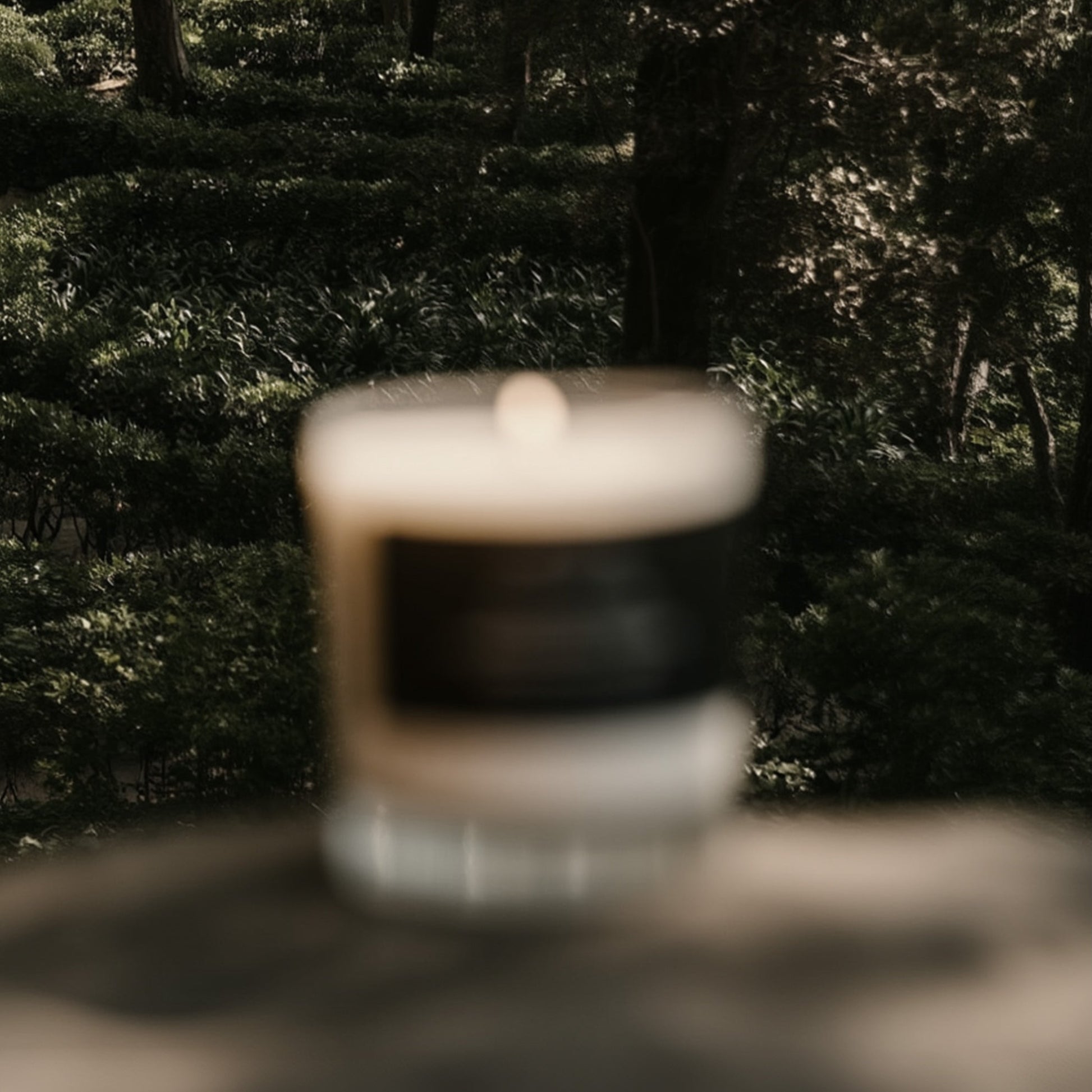 Dried Cedar + Moss Candle