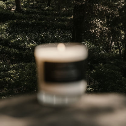 Dried Cedar + Moss Candle