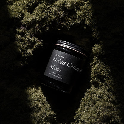 Dried Cedar + Moss Jar Candle