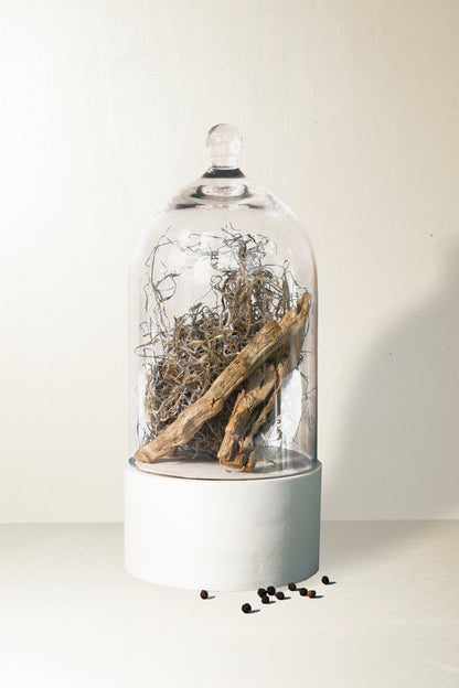 Dried Cedar + Moss Mini Candle