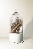Dried Cedar + Moss Reed Diffuser