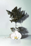 Forest Fern Mini Candle